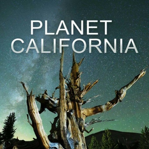 Planet California