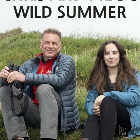 Chris & Meg's Wild Summer
