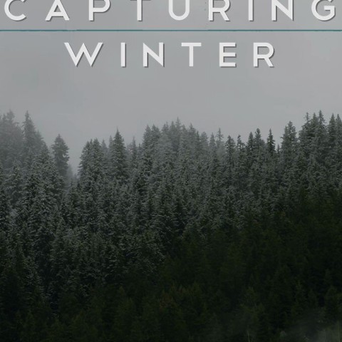 Capturing Winter