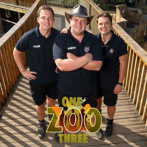 One Zoo Three