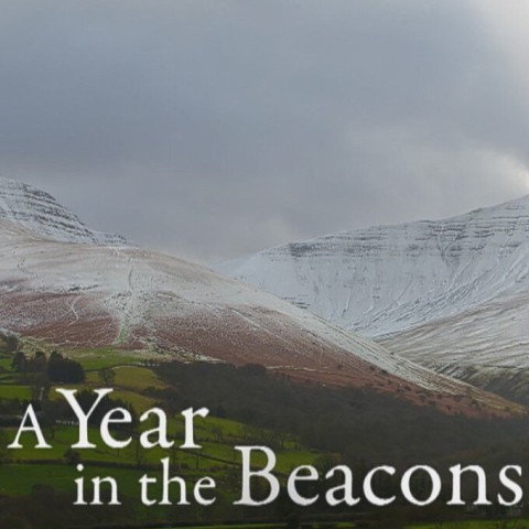 A Year in the Beacons