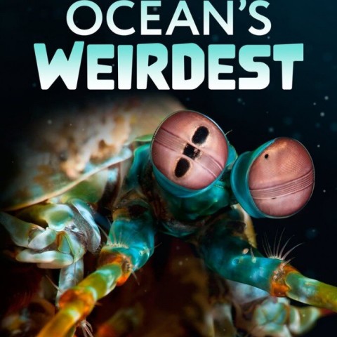 Ocean's Weirdest