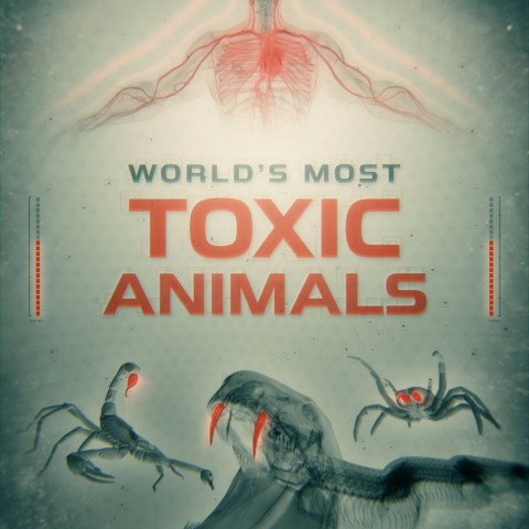 World's Most Toxic Animals