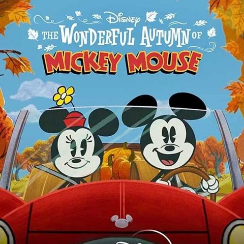 The Wonderful Mickey Mouse