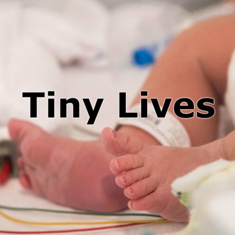 Tiny Lives