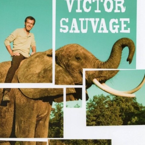 Victor Sauvage
