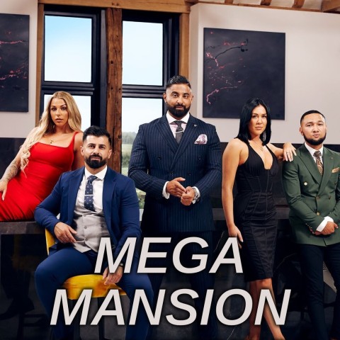 Mega Mansion Hunters