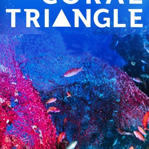 Coral Triangle