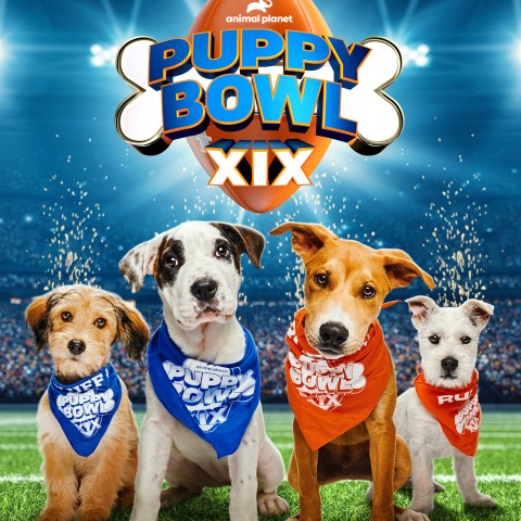 Puppy Bowl