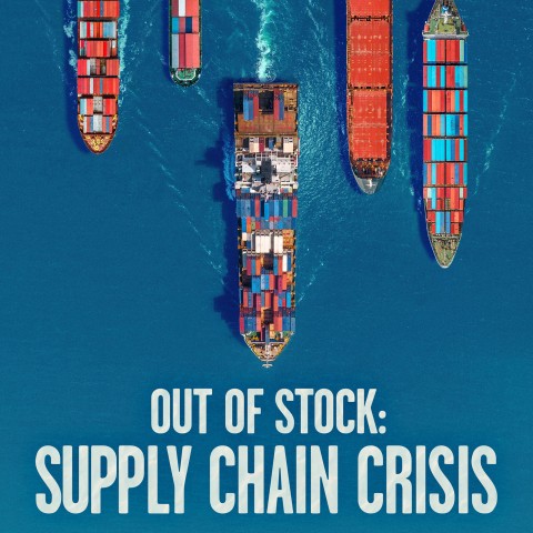 Out of Stock: Supply Chain Crisis