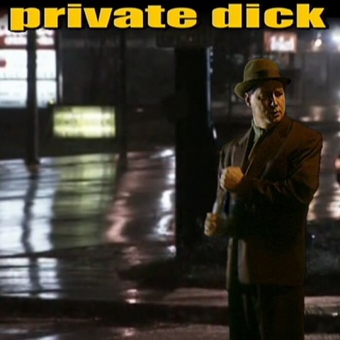 Butch Patterson: Private Dick