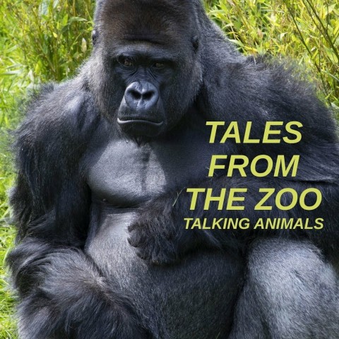 Tales from the Zoo: Talking Animals
