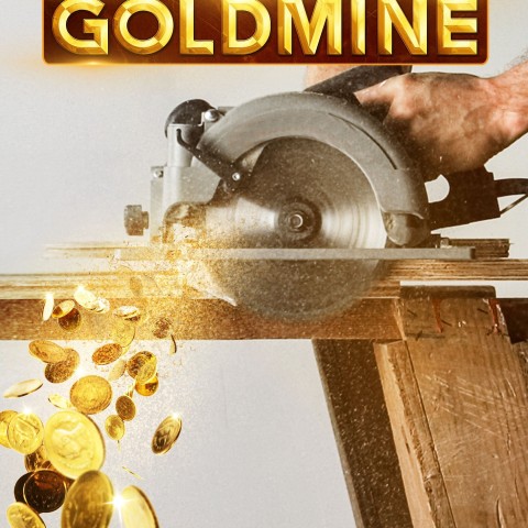 Renovation Goldmine
