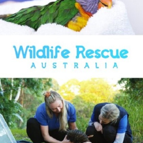 Wildlife Rescue Australia