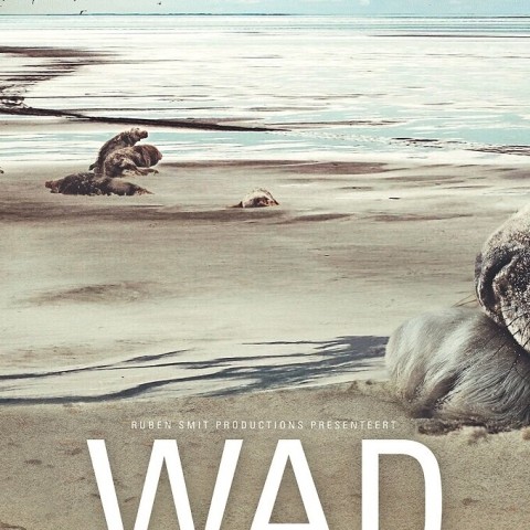 Living on the Edge: The Wadden Sea