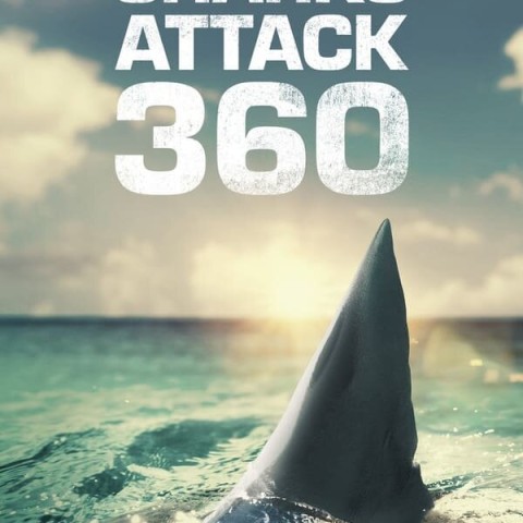 When Sharks Attack 360