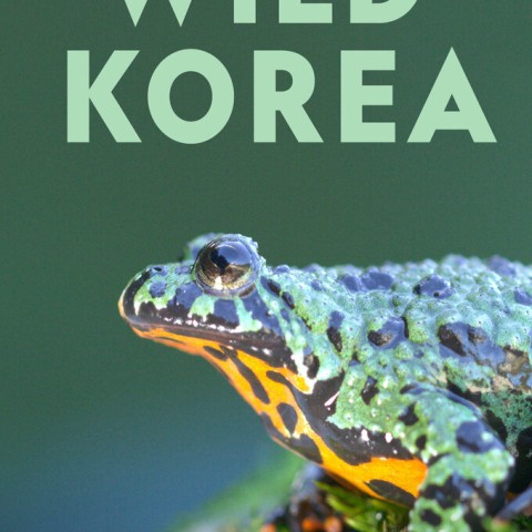 Wild Korea