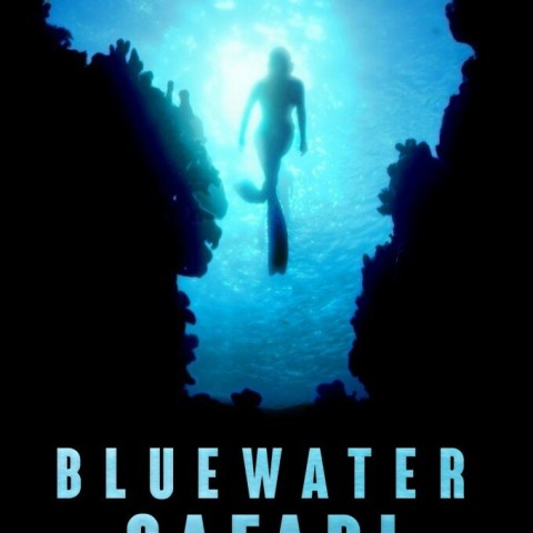 Bluewater Safari