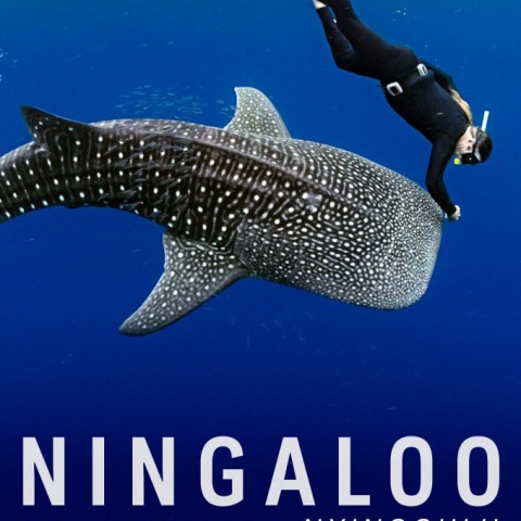 Ningaloo Nyinggulu