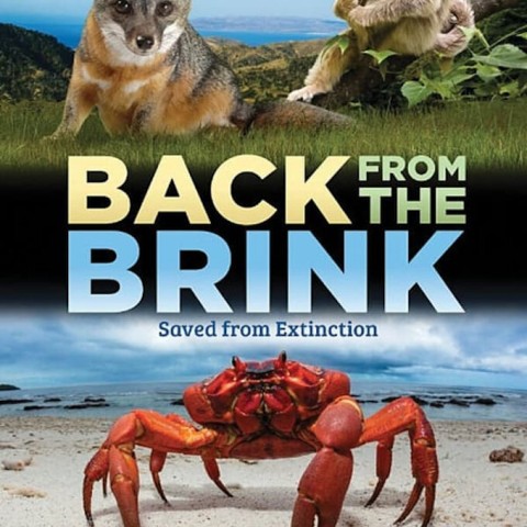 Back from the Brink