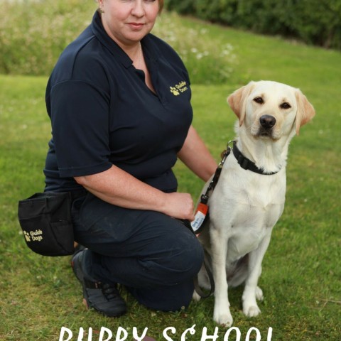 Puppy School for Guide Dogs