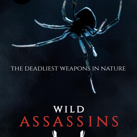 Wild Assassins