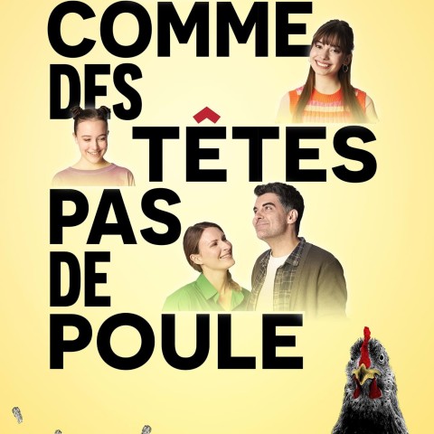 Comme des têtes pas de poule