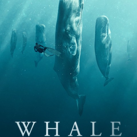 Whale with Steve Backshall