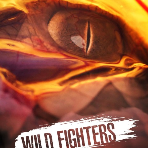 Wild Fighters