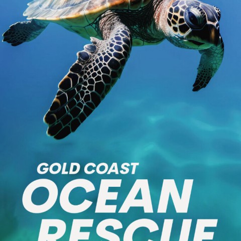 Gold Coast Ocean Rescue