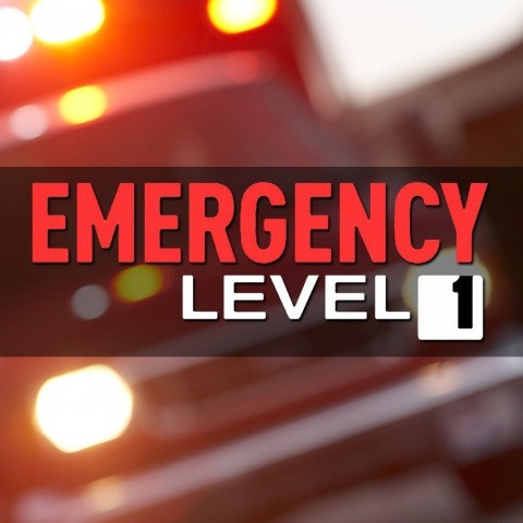 Emergency Level 1