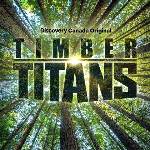 Timber Titans