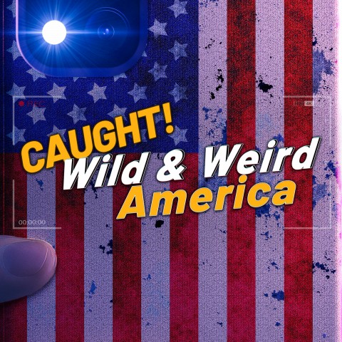 Wild & Weird America