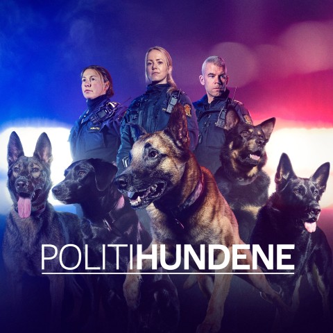 Politihundene
