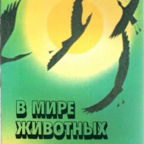 В мире животных