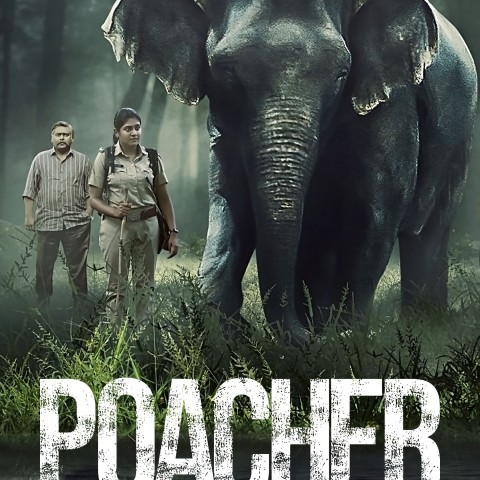 Poacher