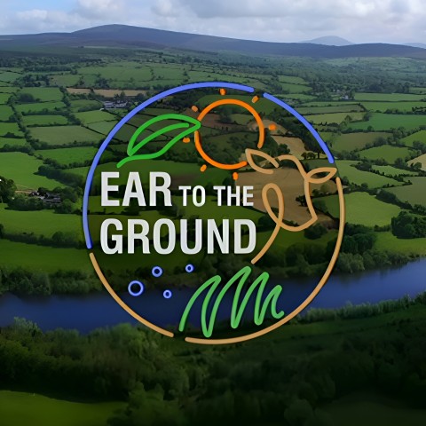 Ear to the Ground