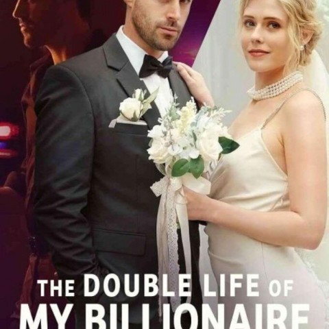 The Double Life of My Billionaire Husband