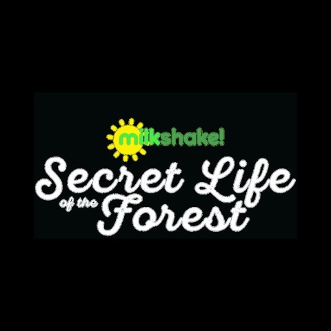 Milkshake! Secret Life of the Forest