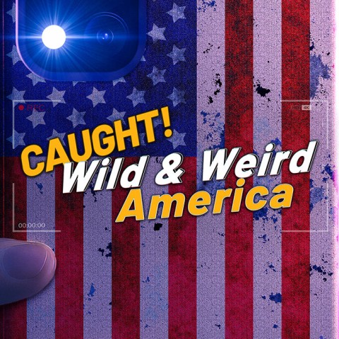 Wild & Weird America