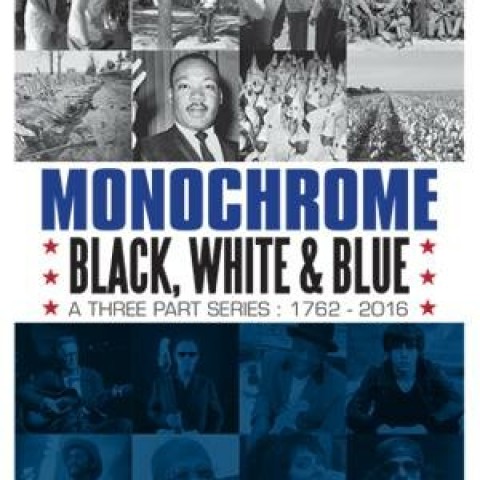 Monochrome: Black, White and Blue