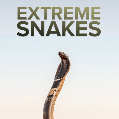 Extreme Snakes