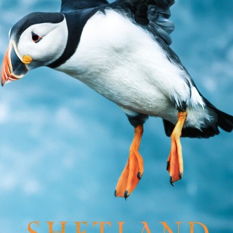 Shetland: Scotland's Wondrous Isles