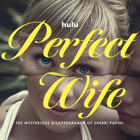 Perfect Wife: The Mysterious Disappearance of Sherri Papini