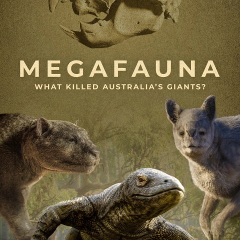 Megafauna: What Killed Australia's Giants?