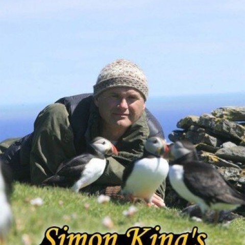 Simon King's Shetland Diaries