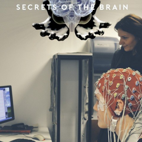 Secrets of the Brain