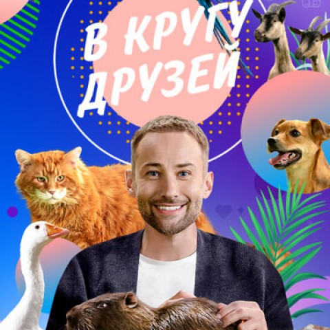 В кругу друзей