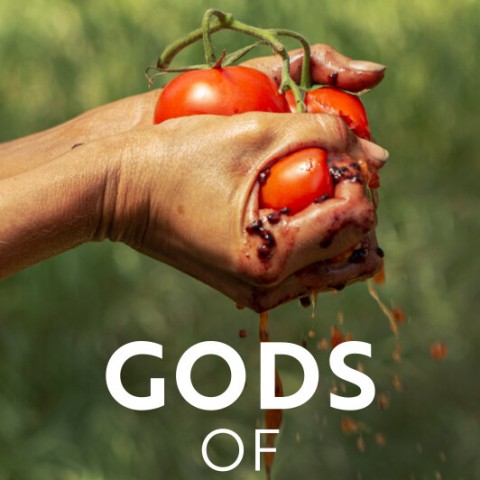 Gods of Food