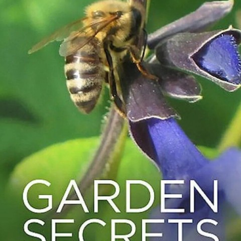 Garden Secrets